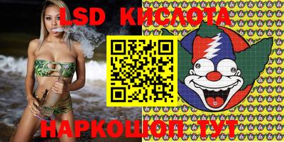 гашик Аргун