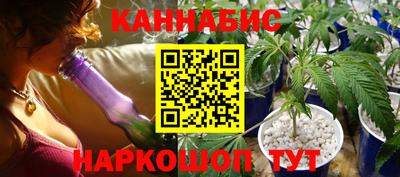 гашик Аргун
