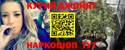 гашик Аргун