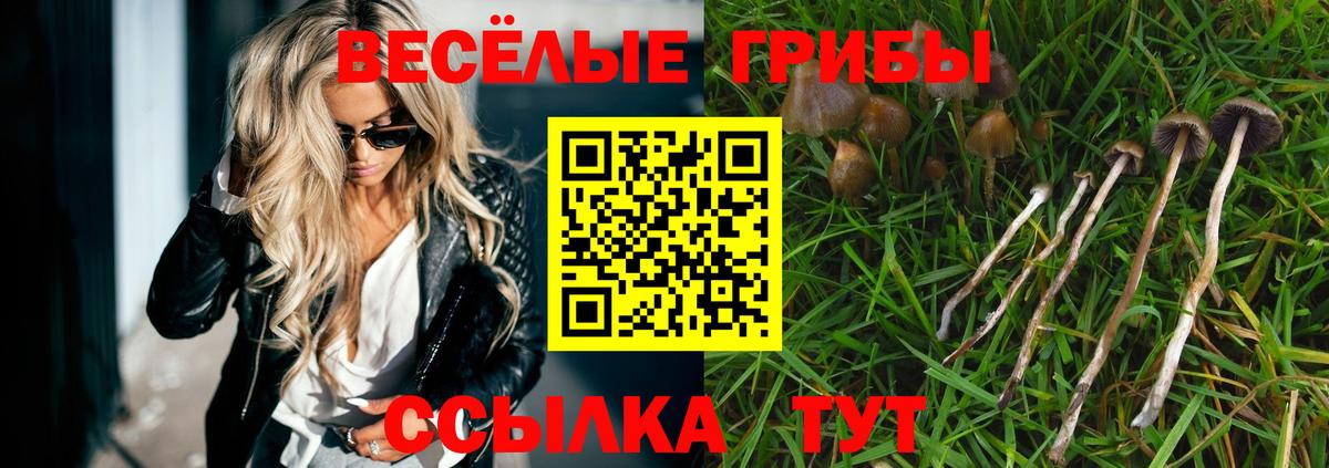 Великий Устюг  Псилоцибиновые грибы Magic Shrooms  Галлюциногенные грибы мухоморы  Вход с VPN 