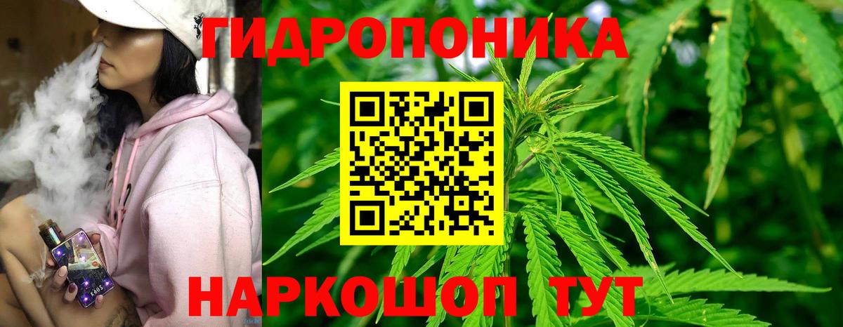 Бошки Шишки THC 21% Великий Устюг